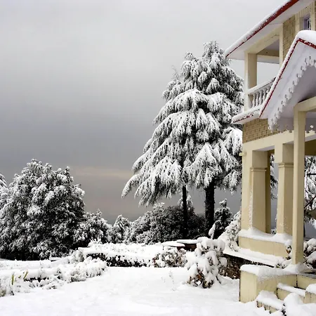 Tree Of Life Grand Oak Manor, Binsar-3